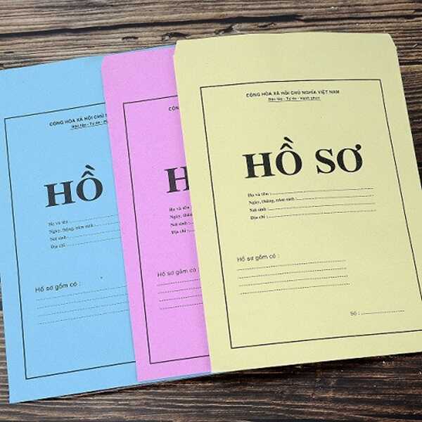 Mau in bia ho so 1