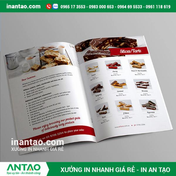 Một cuốn catalogue hoàn thiện đẹp mắt đang được một người cầm trên tay, lật giở các trang giấy dày dặn và sắc nét bên trong