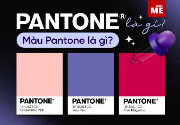 Hình ảnh quạt màu Pantone (Pantone guide) thể hiện sự đa dạng và chuẩn hóa của màu sắc trong in ấn chuyên nghiệp.