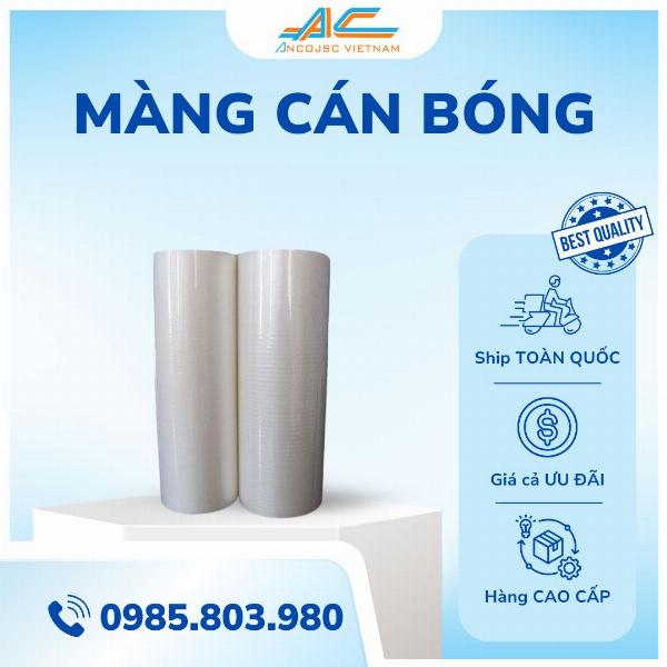 Kỹ thuật cán bóng được ứng dụng trên bìa catalogue sản phẩm, giúp màu sắc rực rỡ và thu hút hơn